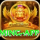 dhoni Super Gaming App