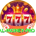 fly33 - Real Money Pro
